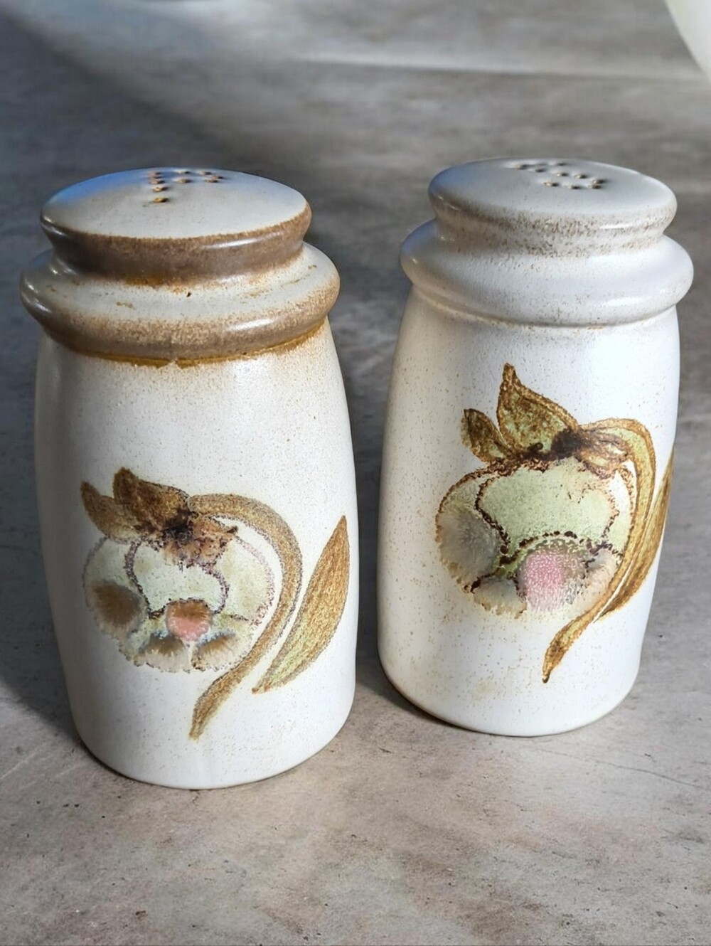 Denby-Langley Troubadour Salt & Pepper Shakers Set Hand Painted Cottage